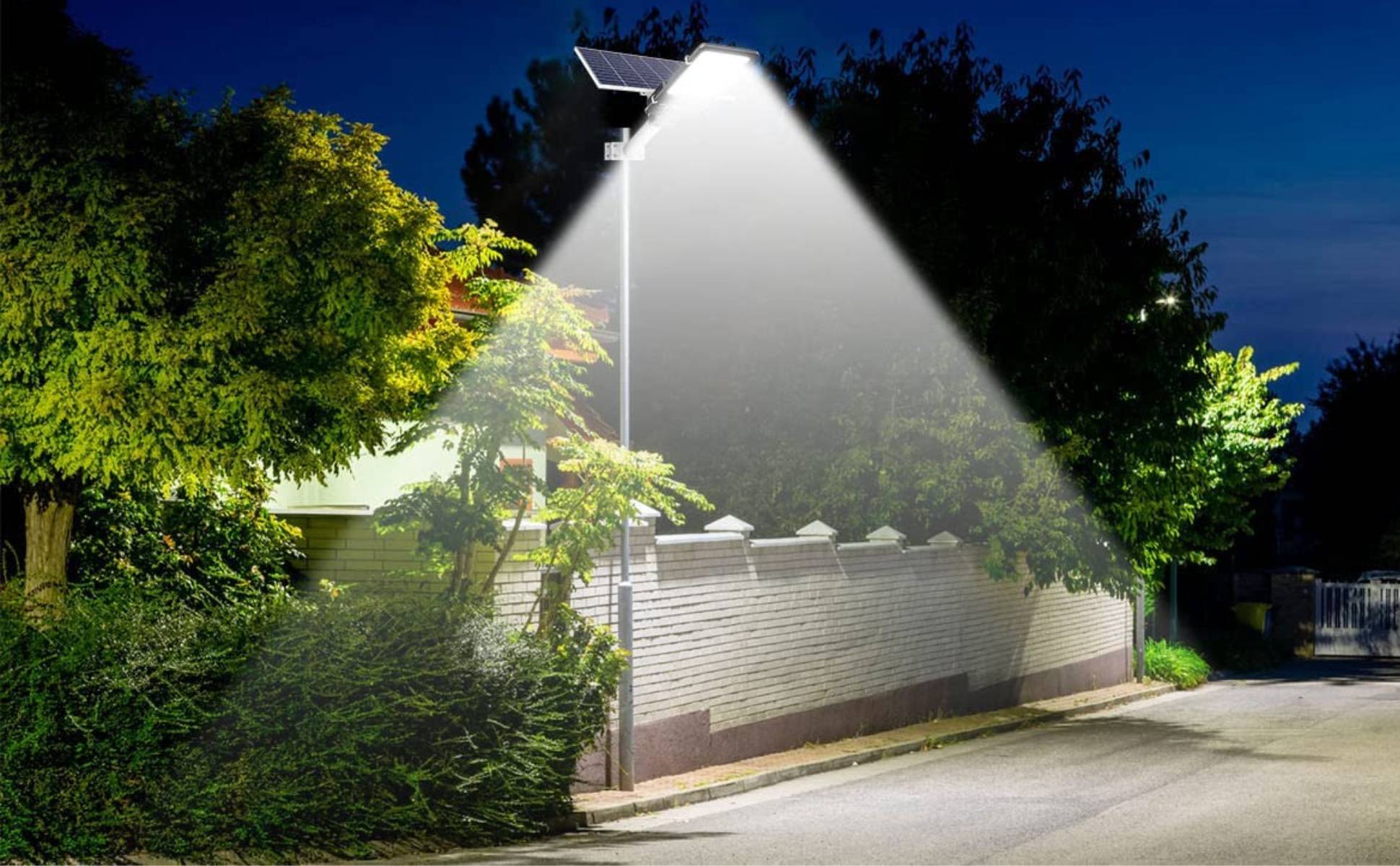 Solar Street Light