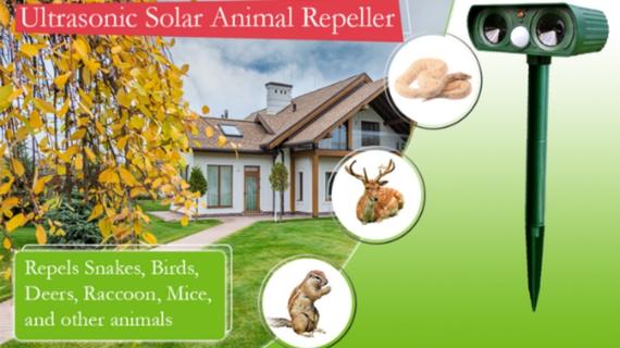 Bigworth Solar Mouse Repeller