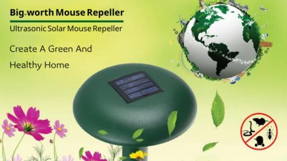 Bigworth Solar Mouse Repeller
