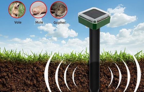 Bigworth Solar Mouse Repeller